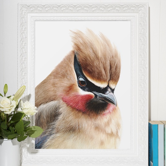 Watercolor Cedar Waxwing Bird Portrait Wall Art Print, Unframed - Vibrant Nature - Picture 7 of 7